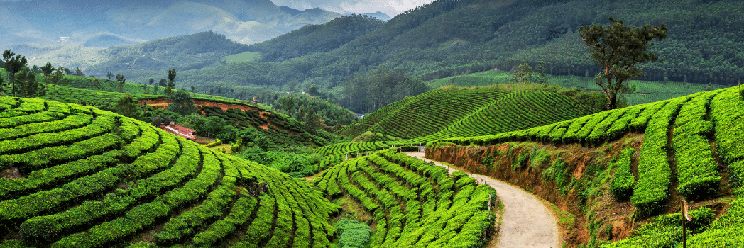 Munnar